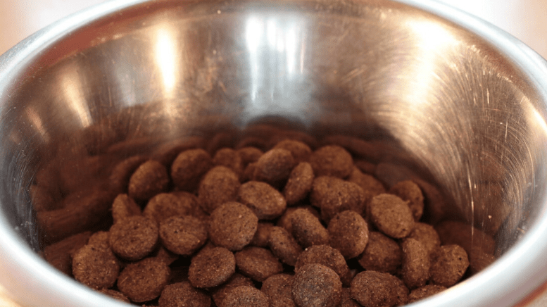 Looking for Natural Dog Food? Here are the Top Three...